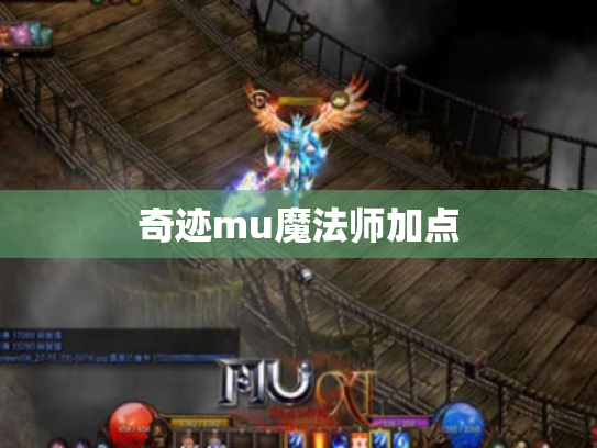 奇迹mu魔法师加点 奇迹mu魔法师加点