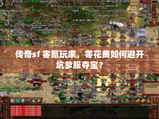 传奇sf 零氪玩家,零花费如何避开坑爹服夺宝? 传奇sf 零氪玩家,零花费如何避开坑爹服夺宝?