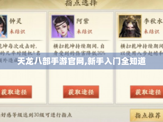 天龙八部手游官网,新手入门全知道 天龙八部手游官网,新手入门全知道