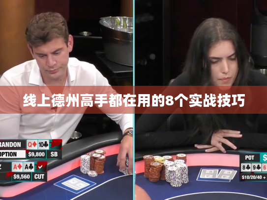 线上德州高手都在用的8个实战技巧 线上德州高手都在用的8个实战技巧