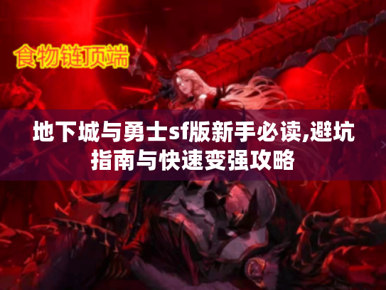 地下城与勇士sf版新手必读,避坑指南与快速变强攻略