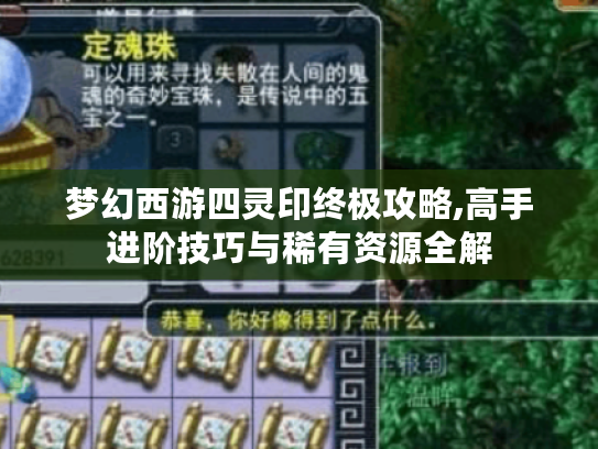 梦幻西游四灵印终极攻略,高手进阶技巧与稀有资源全解