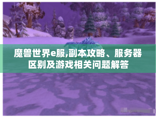 魔兽世界e服,副本攻略、服务器区别及游戏相关问题解答