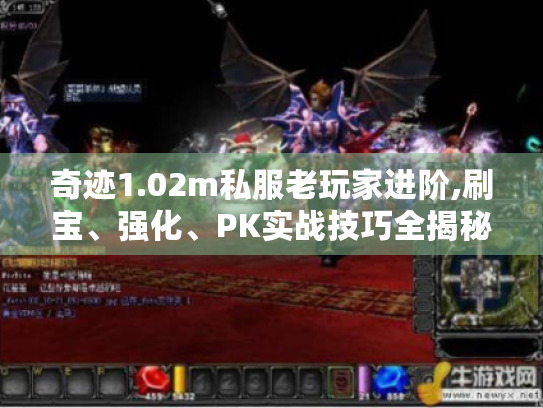 奇迹1.02m私服老玩家进阶,刷宝、强化、PK实战技巧全揭秘! 奇迹1.02m私服老玩家进阶,刷宝、强化、PK实战技巧全揭秘!