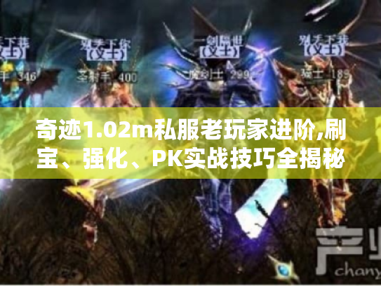 奇迹1.02m私服老玩家进阶,刷宝、强化、PK实战技巧全揭秘! 奇迹1.02m私服老玩家进阶,刷宝、强化、PK实战技巧全揭秘!
