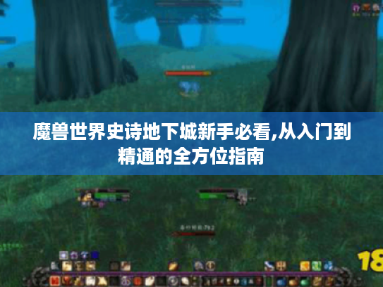 魔兽世界史诗地下城新手必看,从入门到精通的全方位指南