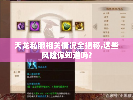 天龙私服相关情况全揭秘,这些风险你知道吗?