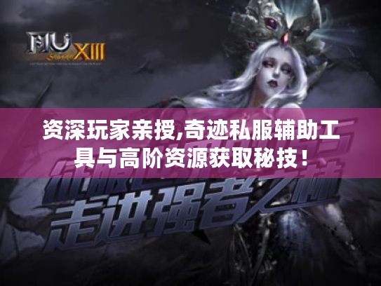 资深玩家亲授,奇迹私服辅助工具与高阶资源获取秘技! 资深玩家亲授,奇迹私服辅助工具与高阶资源获取秘技!