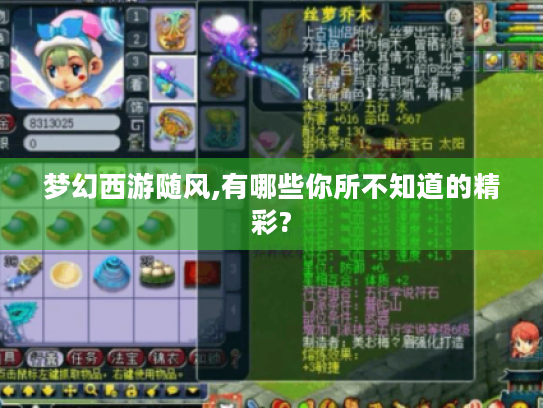 梦幻西游随风,有哪些你所不知道的精彩?