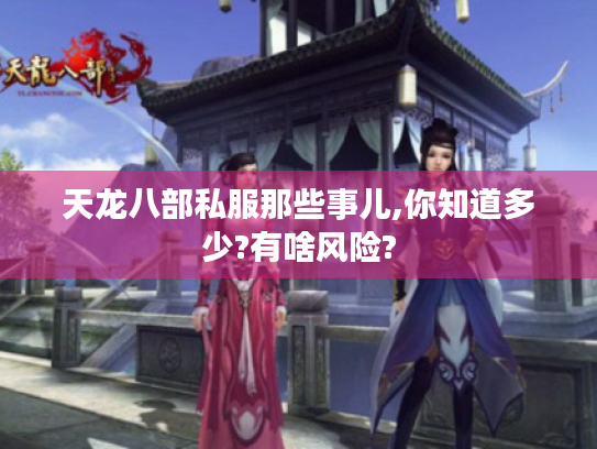 天龙八部私服那些事儿,你知道多少?有啥风险? 天龙八部私服那些事儿,你知道多少?有啥风险?