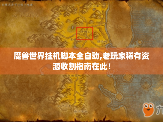 魔兽世界挂机脚本全自动,老玩家稀有资源收割指南在此！