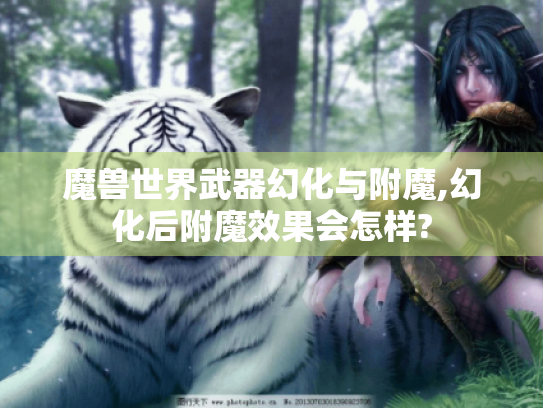 魔兽世界武器幻化与附魔,幻化后附魔效果会怎样?