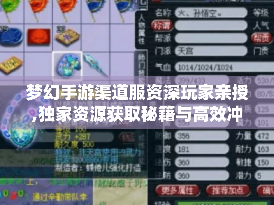 梦幻手游渠道服资深玩家亲授,独家资源获取秘籍与高效冲榜全攻略