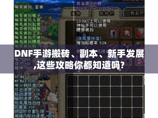 DNF手游搬砖、副本、新手发展,这些攻略你都知道吗?