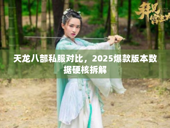 天龙八部私服对比，2025爆款版本数据硬核拆解