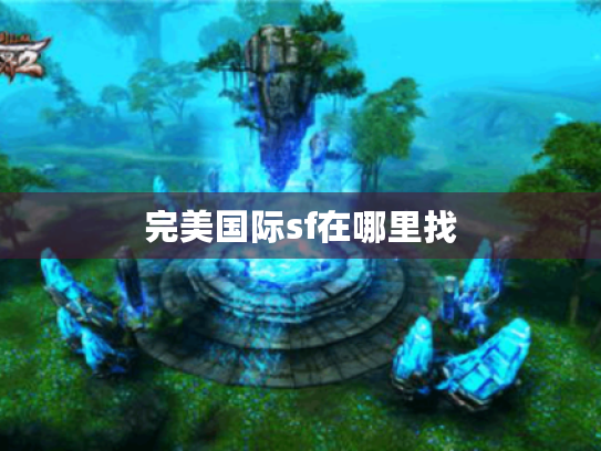 完美国际sf在哪里找