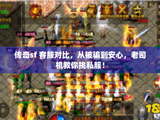 传奇sf 客服对比，从被骗到安心，老司机教你挑私服！