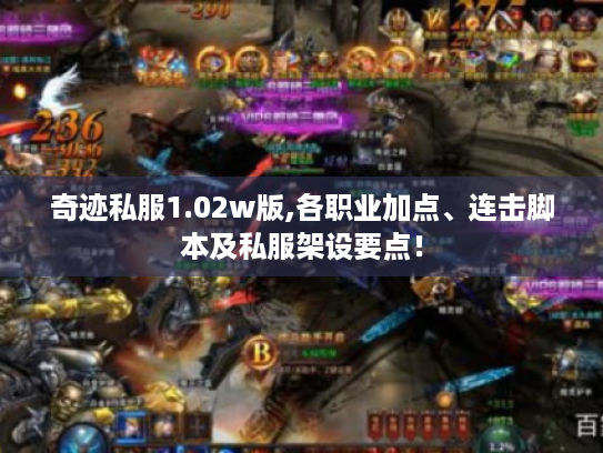 奇迹私服1.02w版,各职业加点、连击脚本及私服架设要点！