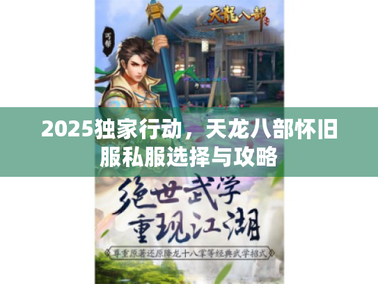 2025独家行动，天龙八部怀旧服私服选择与攻略