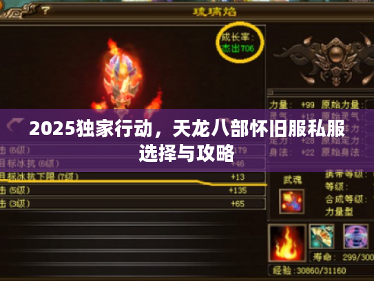 2025独家行动，天龙八部怀旧服私服选择与攻略