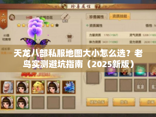 天龙八部私服地图大小怎么选？老鸟实测避坑指南（2025新版）
