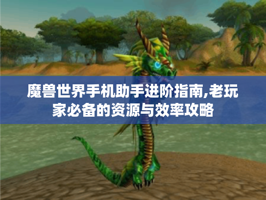魔兽世界手机助手进阶指南,老玩家必备的资源与效率攻略