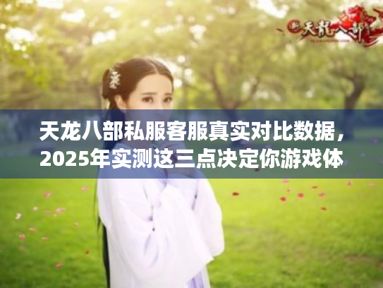天龙八部私服客服真实对比数据，2025年实测这三点决定你游戏体验