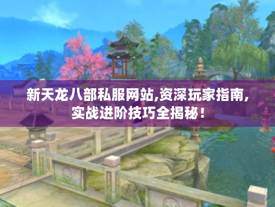 新天龙八部私服网站,资深玩家指南,实战进阶技巧全揭秘！