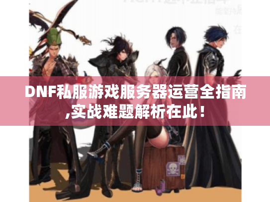 DNF私服游戏服务器运营全指南,实战难题解析在此！