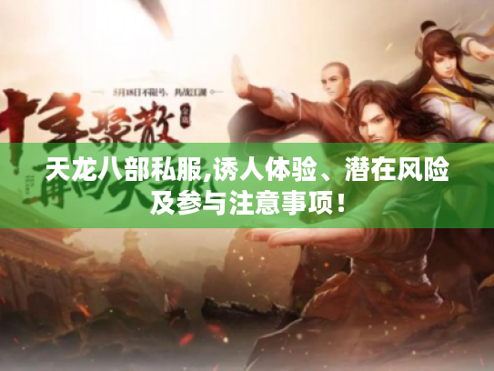 天龙八部私服,诱人体验、潜在风险及参与注意事项！