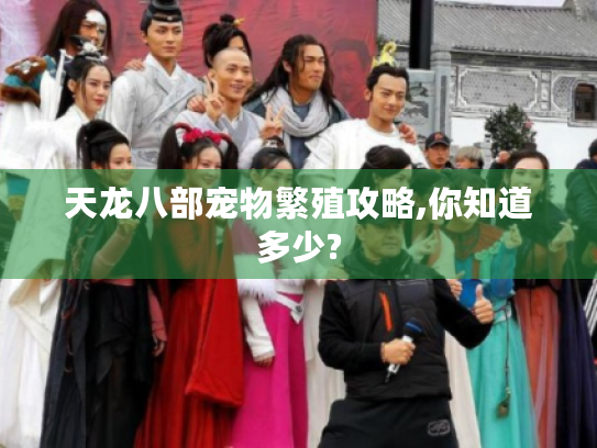 天龙八部宠物繁殖攻略,你知道多少?