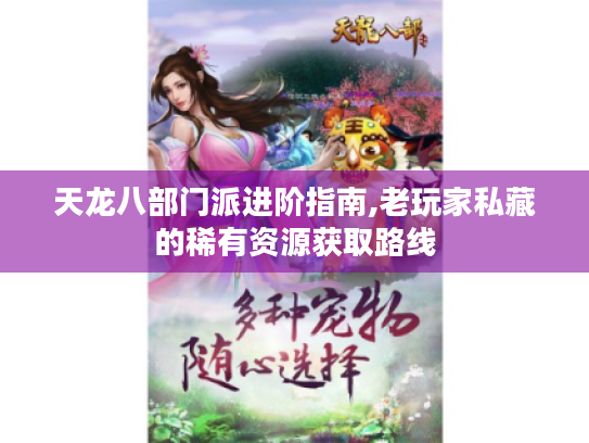 天龙八部门派进阶指南,老玩家私藏的稀有资源获取路线