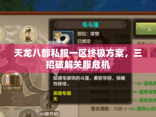 天龙八部私服一区终极方案，三招破解关服危机