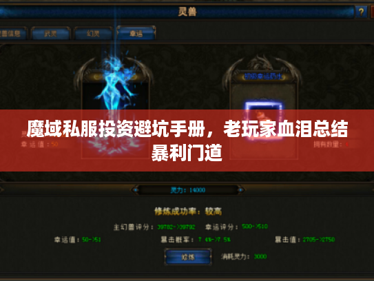 魔域私服投资避坑手册,老玩家血泪总结暴利门道 魔域私服投资避坑手册,老玩家血泪总结暴利门道