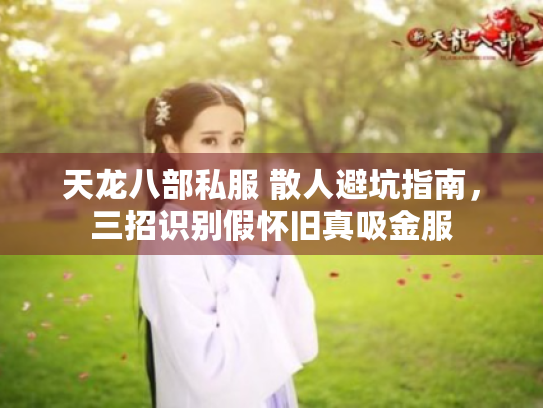 天龙八部私服 散人避坑指南,三招识别假怀旧真吸金服 天龙八部私服 散人避坑指南,三招识别假怀旧真吸金服