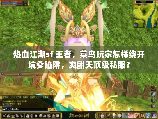 热血江湖sf 王者，菜鸟玩家怎样绕开坑爹陷阱，爽翻天顶级私服？