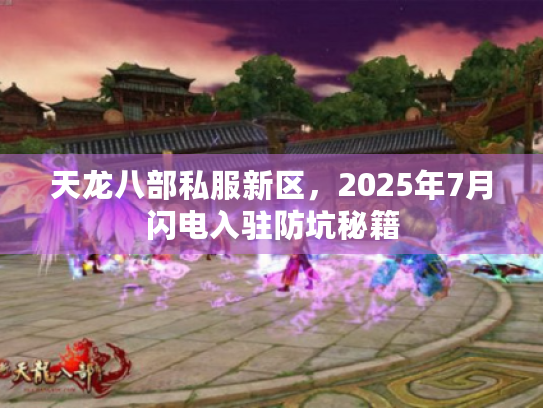 天龙八部私服新区，2025年7月闪电入驻防坑秘籍
