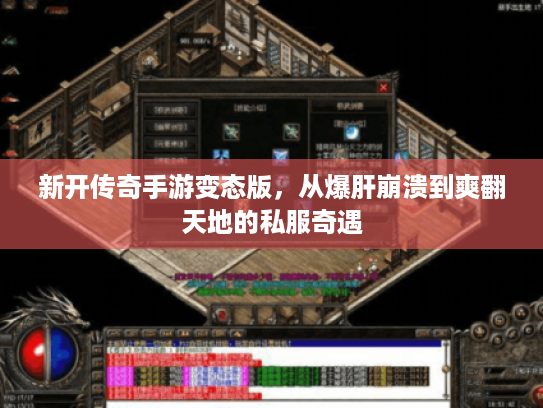 新开传奇手游变态版，从爆肝崩溃到爽翻天地的私服奇遇