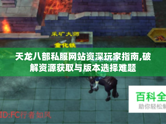天龙八部私服网站资深玩家指南,破解资源获取与版本选择难题