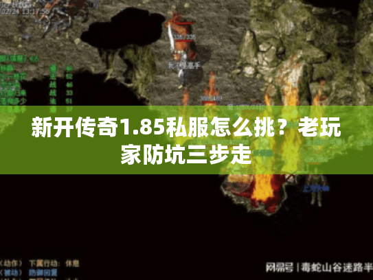 新开传奇1.85私服怎么挑？老玩家防坑三步走