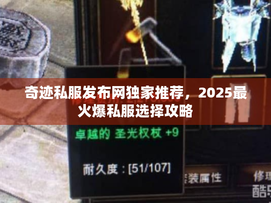 奇迹私服发布网独家推荐，2025最火爆私服选择攻略