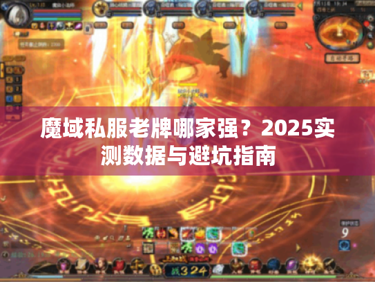 魔域私服老牌哪家强？2025实测数据与避坑指南