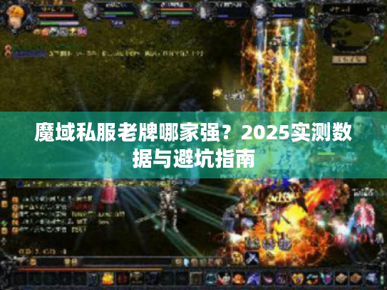 魔域私服老牌哪家强？2025实测数据与避坑指南