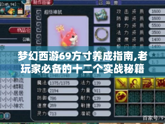 梦幻西游69方寸养成指南,老玩家必备的十二个实战秘籍
