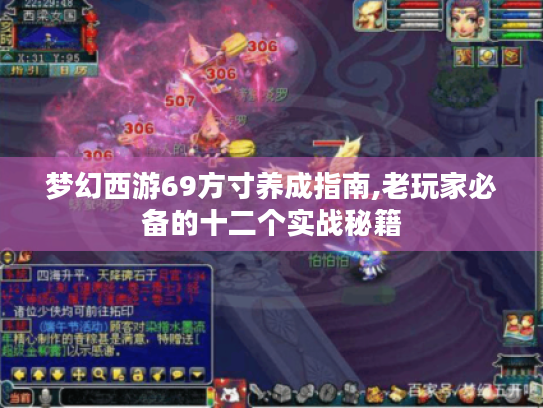 梦幻西游69方寸养成指南,老玩家必备的十二个实战秘籍 梦幻西游69方寸养成指南,老玩家必备的十二个实战秘籍