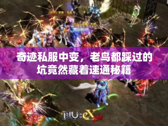 奇迹私服中变,老鸟都踩过的坑竟然藏着速通秘籍 奇迹私服中变,老鸟都踩过的坑竟然藏着速通秘籍
