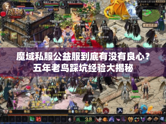 魔域私服公益服到底有没有良心?五年老鸟踩坑经验大揭秘 魔域私服公益服到底有没有良心?五年老鸟踩坑经验大揭秘