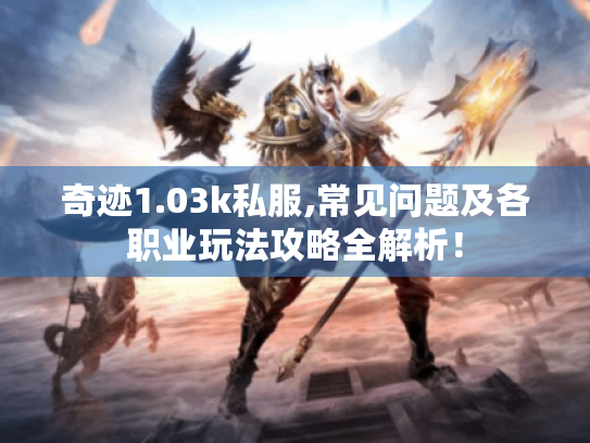 奇迹1.03k私服,常见问题及各职业玩法攻略全解析！
