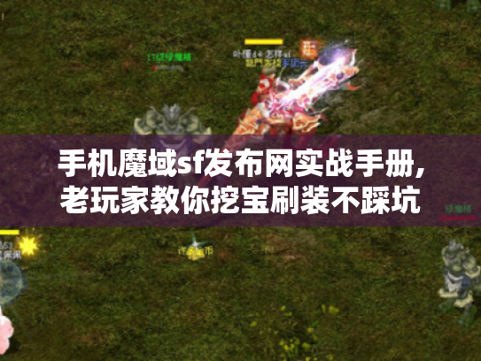 手机魔域sf发布网实战手册,老玩家教你挖宝刷装不踩坑