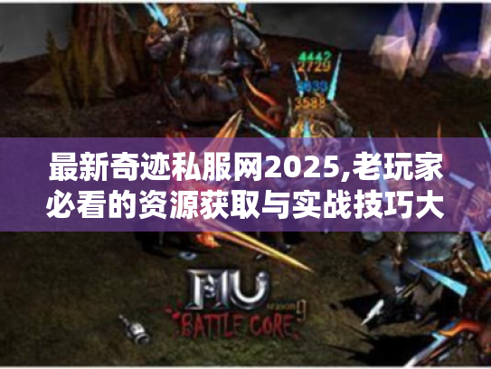 最新奇迹私服网2025,老玩家必看的资源获取与实战技巧大全